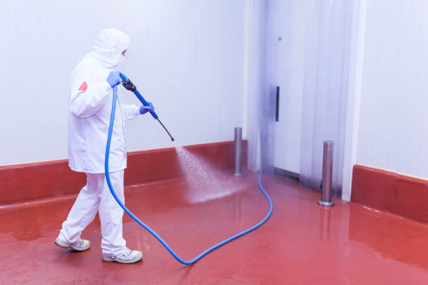 Pre-Holiday Cleaning in Los Altos, CA